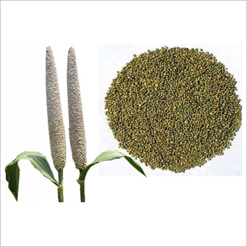 Natural Bajra Seeds.jpg