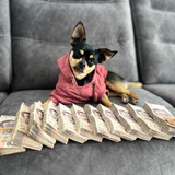 WhatsApp Image 2025 05 02 at 15.18.18