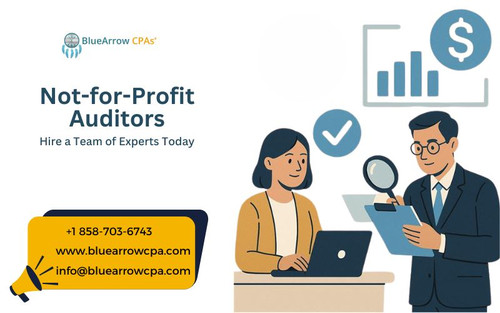 Not for Profit Auditors (1).jpg
