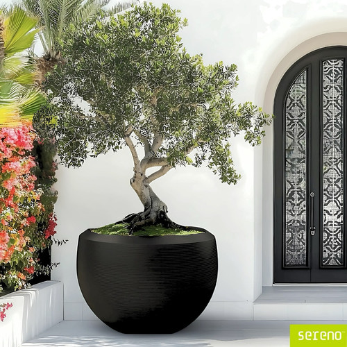 Sereno Balcony Planters – Redefine Urban Gardening in Style.jpg