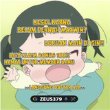 ZEUS379