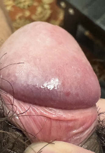 Screenshot 2025 05 02 at 5.52.03 PM