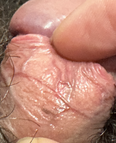 Screenshot 2025 05 02 at 5.52.28 PM