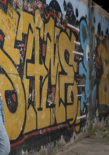 Bluephoto No.331 (23).png