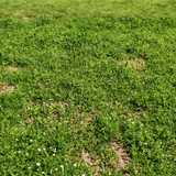 FŐ IMG 20250502 111129