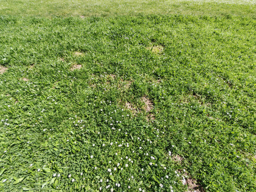 UW IMG 20250502 111211.jpg