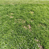 UW IMG 20250502 111211