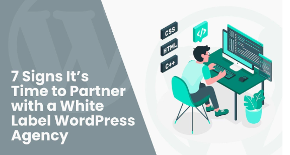 WordPress Agency