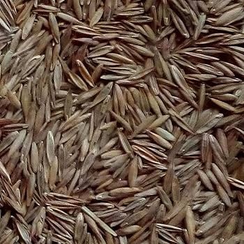 718ij VoRYS. AC UF350,350 QL80.jpg