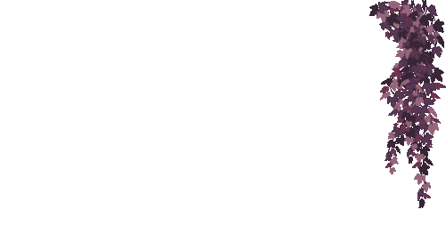 Untitleddesign2 ezgif.com rotate.gif