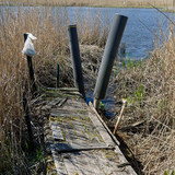 3jy88dP.th.jpg