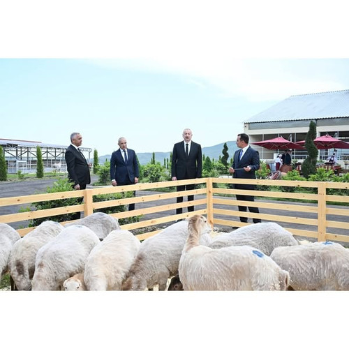 492727528 1223413456461483 1654542621083754419 n.jpg?stp=dst jpg s600x600 tt6& nc cat=108&ccb=1 7& n.jpg