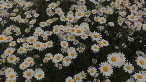 lc4pFroH G2tV PY.jpg