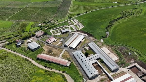 495319461 1135867581902521 6895738089995168836 n.jpg?stp=dst jpg s600x600 tt6& nc cat=107&ccb=1 7& n.jpg