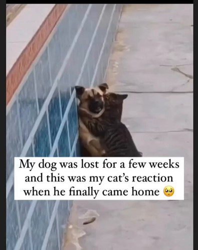 uGqzgPR1SAH4vv0N.jpg
