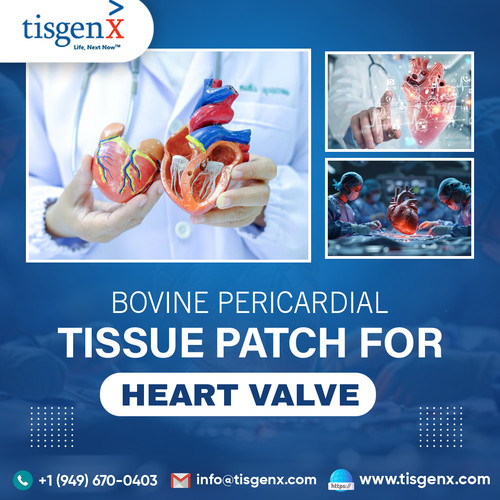 Bovine Pericardial Tissue Patch for heart valve.jpg