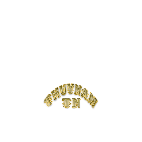 ThuyNamLogo1.png