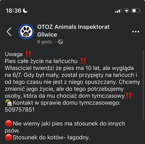 GqcN6aKXIAA9R a.jpg