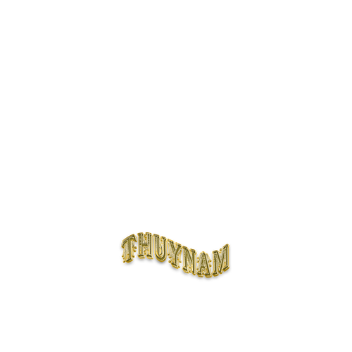 ThuyNamLogo3.png