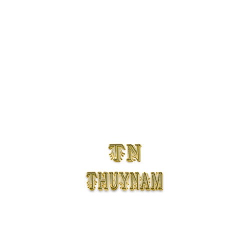 ThuyNamLogo2.png