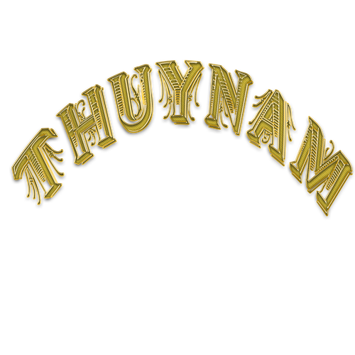 ThuyNamLogob.png