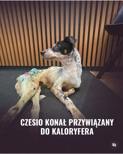 Gqav6mwW0AAKIwv.jpg