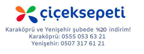 1739561355804 (1).jpg