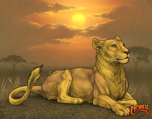 lion 794243826719.png