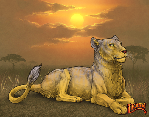 lion 794243826657.png