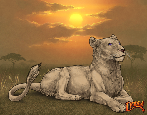 lion 794243263364.png