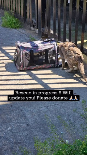 7tdEh1ZBY6eV qv4.jpg