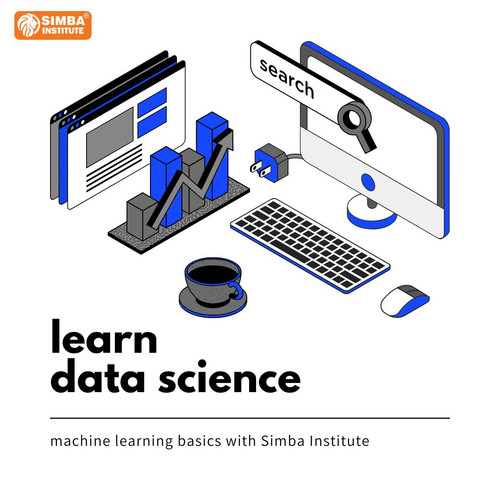 simba data science.jpg