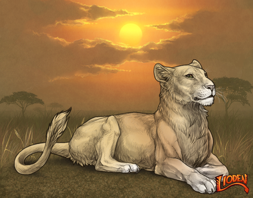 lion 794243826707.png