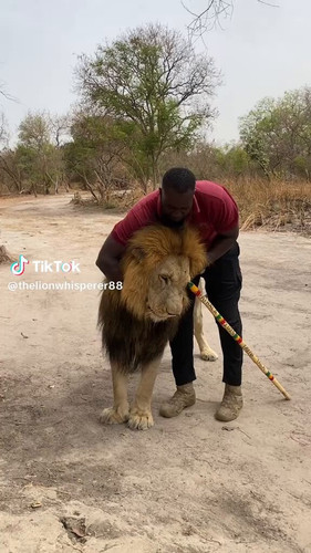 Kr Pb8VFK8LBBYxj.jpg