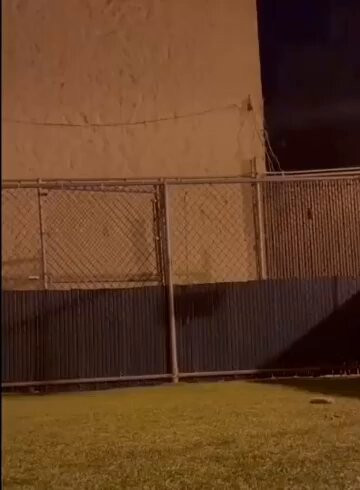 8M75H0oCcjj8qpB4.jpg