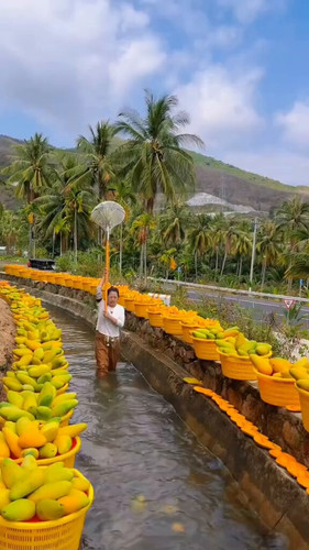 w8AL6imc6fJV tSR.jpg