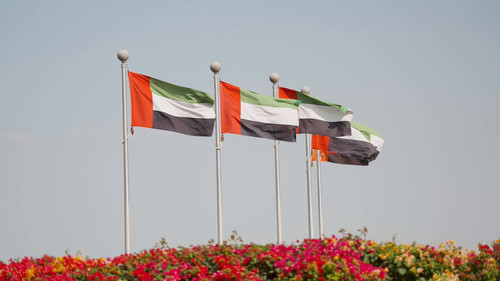 VFA4c6 18ZZDc2r3.jpg