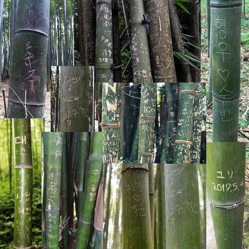 京都の竹林に落書き.jpg