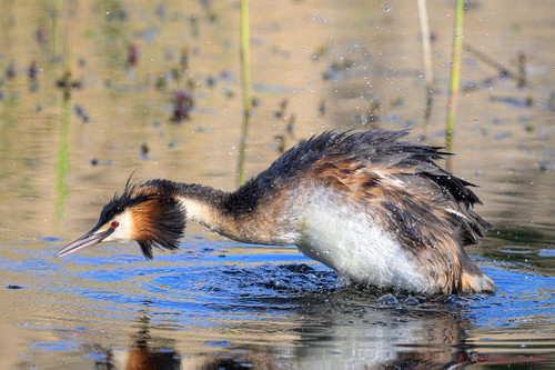 Gqbq1bvXgAABRUF.jpg
