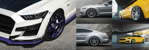 MUSTANG FORGED CAR CONSOLIDATED 1.jpg