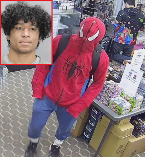 spider.png