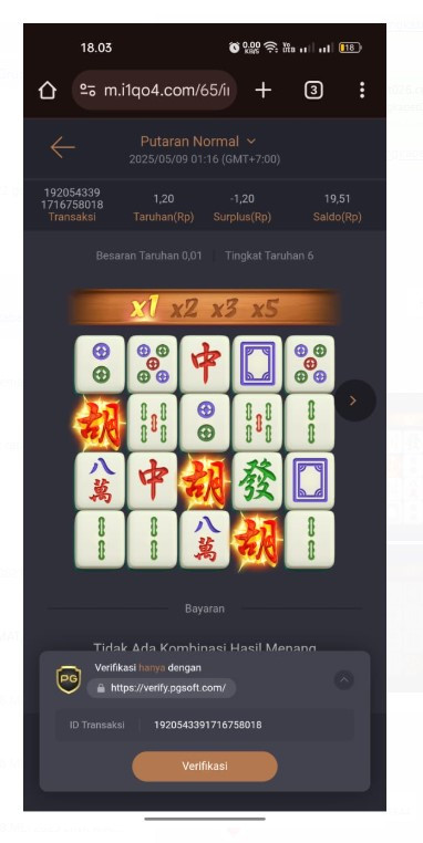 pekcun 3.jpg