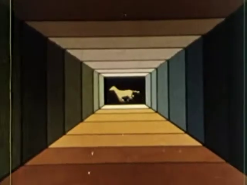 vlcsnap 2025 05 09 14h43m37s524.png
