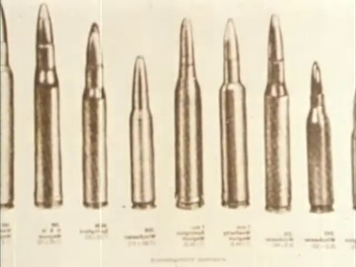 vlcsnap 2025 05 09 14h43m06s988.png