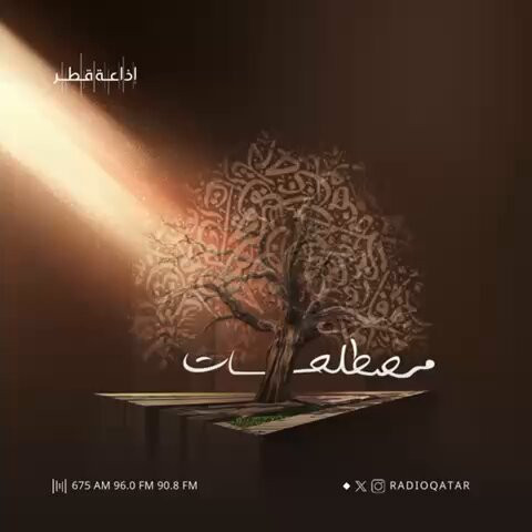 nawzT1y6fiBz9 xL.jpg