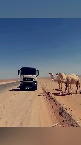 hVZOoxo HFPqgCAr.jpg