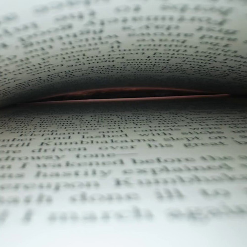 RQ6 j5nVrWJdxxwZ.jpg