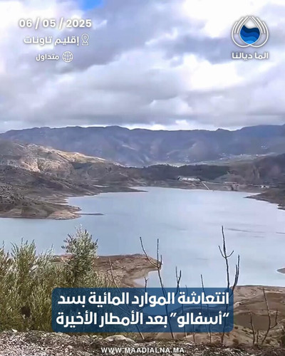 ncJYaLJHk3hr vby.jpg