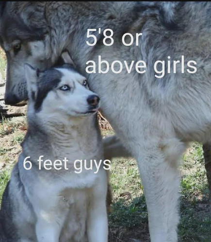 486204719 642178105102544 4719160853496623245 n.jpg