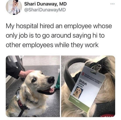 480962055 635679042419117 1511245245934021700 n.jpg